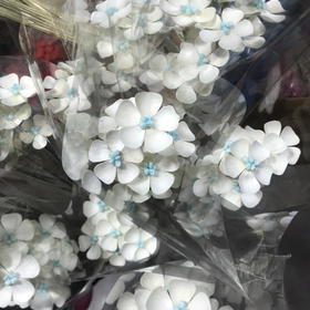 紫罗兰.白色蓝心（干花）