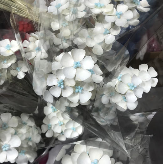 紫罗兰.白色蓝心（干花） 商品图0