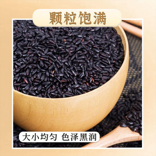 掌中禾 五常黑米 商品图2