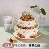 【甄选动物奶油】8+6英寸水果生日蛋糕，6选1 商品缩略图2