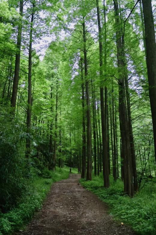 【青城山王婆岩· 娉庭·宽溪山景小院】周末节假日不加价

💦玩水、捞鱼、烧烤…承包整个清凉夏天！
🐱8分钟车程到网红猫猫庙，撸猫～祈福～
🍭坝坝电影、亲子捉萤火虫、溪 商品图7