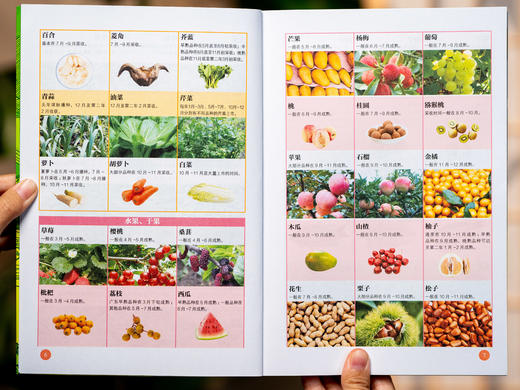 【有声版】《家庭养生指南全书（黄帝内经×本草纲目）》（全4册）| 医学博士、药理专家权威解读中医典籍，传统食养+穴位调养+滋补名方，随翻、随查、随听、随读，人人都能看得懂、用得上 商品图11