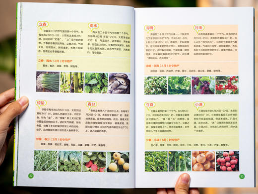 【有声版】《家庭养生指南全书（黄帝内经×本草纲目）》（全4册）| 医学博士、药理专家权威解读中医典籍，传统食养+穴位调养+滋补名方，随翻、随查、随听、随读，人人都能看得懂、用得上 商品图12