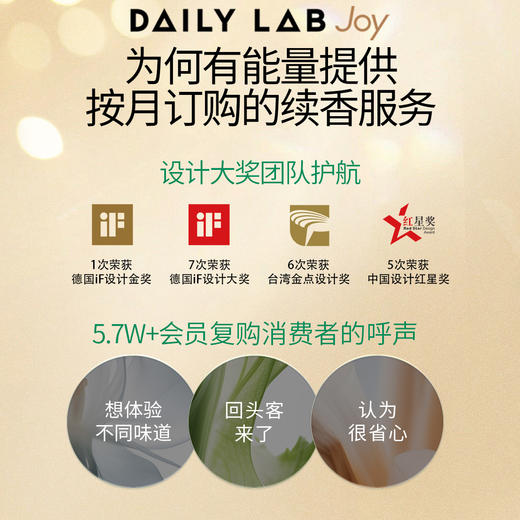 DAILY LAB JOY年度续香小巨蛋流光小羊皮小金条360补充装替换香片 商品图5