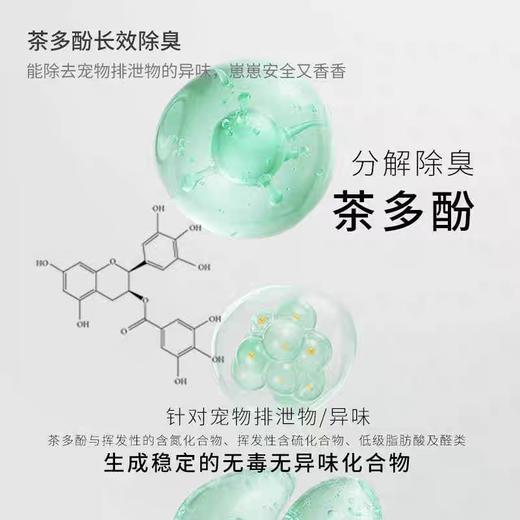 洒家物体表面消毒液 商品图2