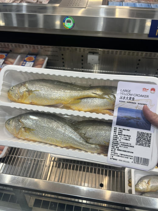 MM深海大黄鱼4条装 商品图0