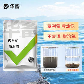 华畜浊水清1kg 降浊快更清透  不复混增氧溶