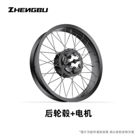 20寸K6F 后轮毂电机