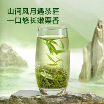 京东京造鲜来多26新茶信阳毛尖绿茶250g明前茶叶栗香嫩芽送礼盒自己喝自营 商品图3