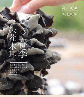 【东北头茬黑木耳】 250g/盒 黑木耳