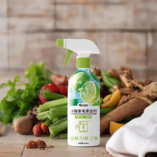 【冰箱清洁剂除臭去异味】胶圈胶条去霉菌斑专用多功能家居冰箱清洗剂 商品图1