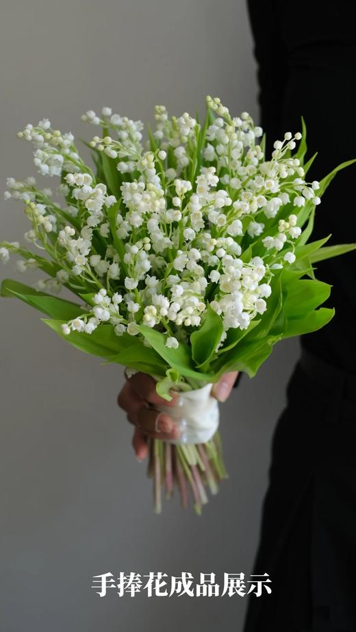 高端花材铃兰花10支【农场直发】 商品图9
