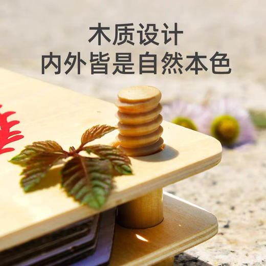 mideer弥鹿MD0071压花器标本夹 商品图7