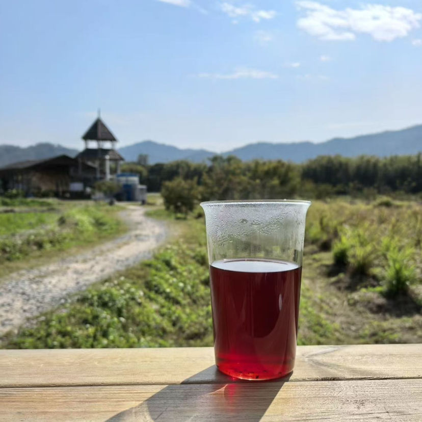 新品【生态洛神肉桂苹果茶】通上热下寒小能手｜炕氧化立体网｜中焦不通咔咔喝｜身材嘎嘎好｜沙漠里的有机苹果，0农残0添加干干净净配料表