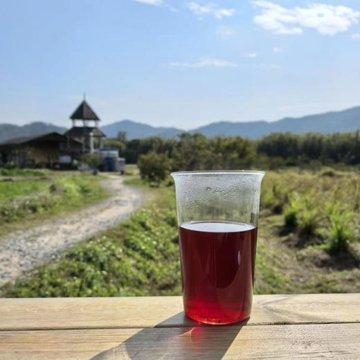 新品【生态洛神肉桂苹果茶】通上热下寒小能手｜炕氧化立体网｜中焦不通咔咔喝｜身材嘎嘎好｜沙漠里的有机苹果，0农残0添加干干净净配料表 商品图0