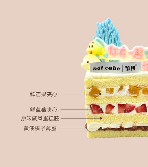 鱼宝乐园 商品图1