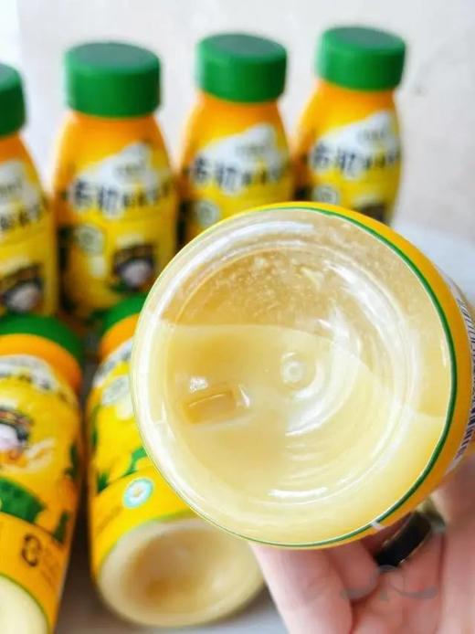 有机鲜榨玉米汁&益生菌发酵有机胡萝卜汁鲜果生榨无菌灌装创新40C恒温锁鲜工艺好喝无负担配料表干净基地直邮 商品图2