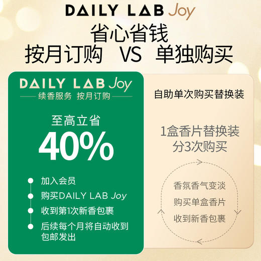 DAILY LAB JOY年度续香小巨蛋流光小羊皮小金条360补充装替换香片 商品图1