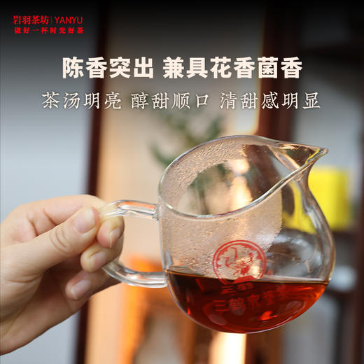 三鹤六堡茶紧压茶(陈香22031)特级黑茶广西梧州茶厂陈香甜香菌花香2斤 商品图3