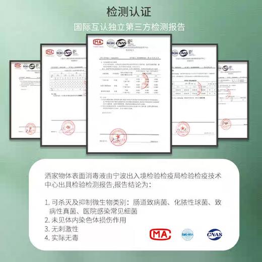 洒家物体表面消毒液 商品图3