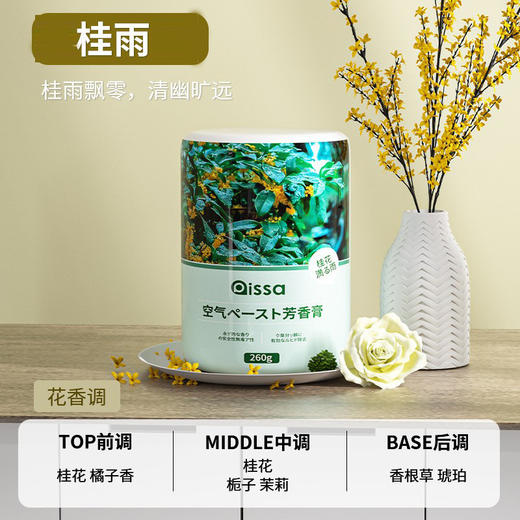 空气清新剂室内卫生间香薰厕所除臭神器持久留香卧室香氛去异味膏 商品图2