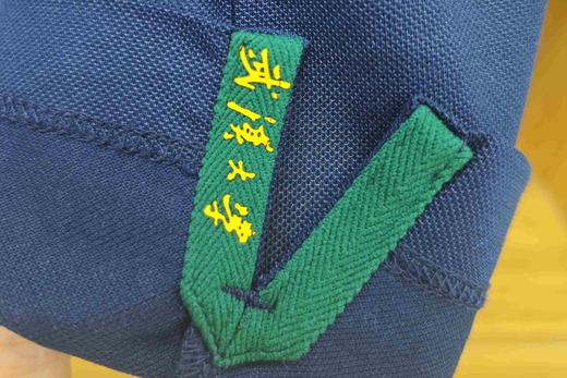 武大珞珈经典POLO衫短袖 商品图5