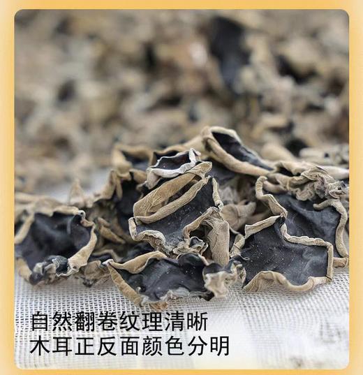 【东北头茬黑木耳】 250g/盒 黑木耳 商品图1