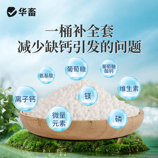 华畜钙镁硬壳宝10kg 高含量全溶性颗粒钙 硬壳脱壳补钙促生长 商品图2