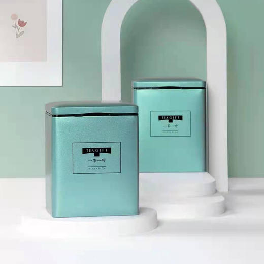 一茶一叶【蓝色、翻盖300g套装】9.2元1套.整箱60套 商品图2