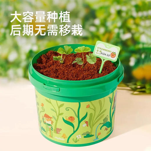 mideer弥鹿MD2246万物生长-攀爬吨吨桶 商品图3