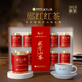 2025新茶 武当山茶 逸品诚者茶叶郧红 红茶 100g(10g*10罐) 全国包邮，部分地区除外