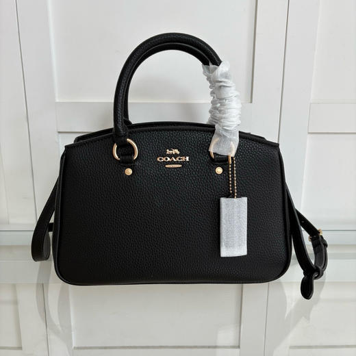 夏季特惠💰550 蔻驰【新品】女士老花SAVANNAH小号CARRYALL手提斜挎包 CAL53 尺寸：28.5*18*10cm 商品图0