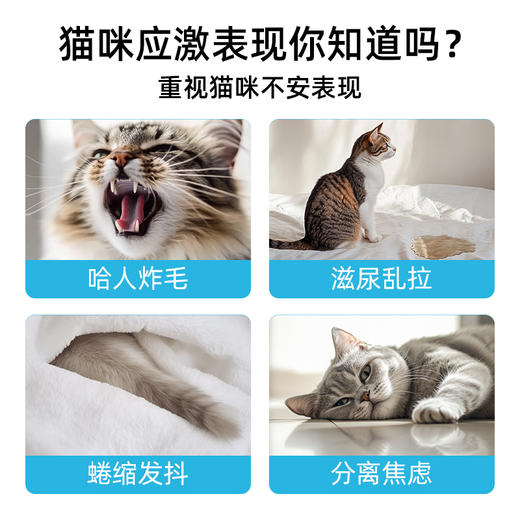 needcat你的猫 捏捏舒爆珠贴 猫咪复合信息素 情绪安抚 预防应激  7贴/盒 商品图2