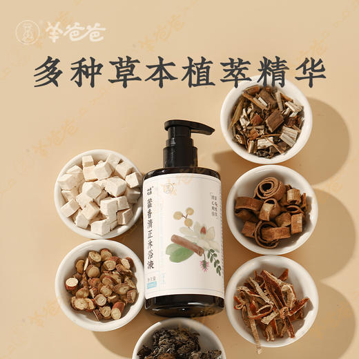 【藿香清正沐浴液】植物草本 不惧暑湿带来的皮肤烦恼 草本清香 气味柔和 泡沫细腻易清洗 商品图2