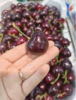 精品樱桃一斤 商品缩略图1