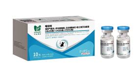 中牧喵倍利猫苗10份/盒2027年1月4号到期。
猫鼻气管炎、杯状病毒病、泛白细胞减少症三联灭活疫苗
CAHIC	(HBJ06株+CHZ05株+PSY01株)	中牧股份批准文号:兽药临字1450607