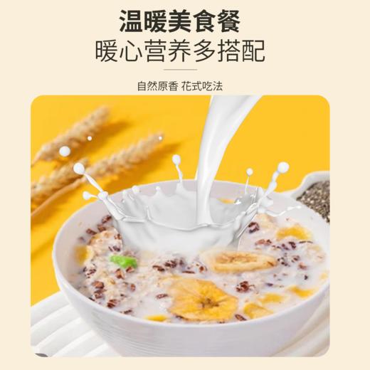 苹果香蕉牛乳燕麦片 清新谷物 饱腹代餐 净含量500克一罐 商品图1