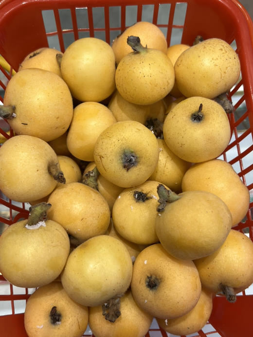 白玉枇杷（3斤装） 商品图0