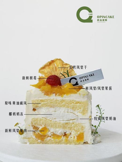 椰香凤梨（3英寸） 商品图1