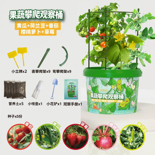 mideer弥鹿MD2246万物生长-攀爬吨吨桶 商品图2