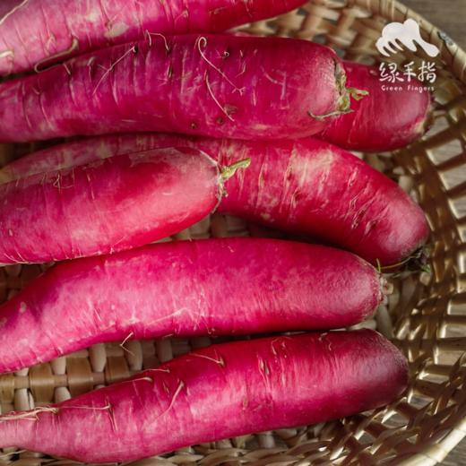 生态五叶水萝卜（送桔油洗碗皂） | 合作生产*Ecological radish | Partner Production 商品图0