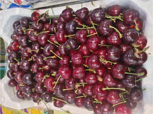 精品樱桃一斤 商品图0