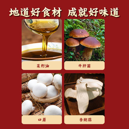 山野牛肝菌酱 净素配方 素食拌饭 拌面炒菜 菌香浓郁 下饭 商品图2