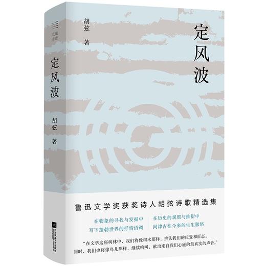 《定风波》题词签名本 胡弦 著 商品图0