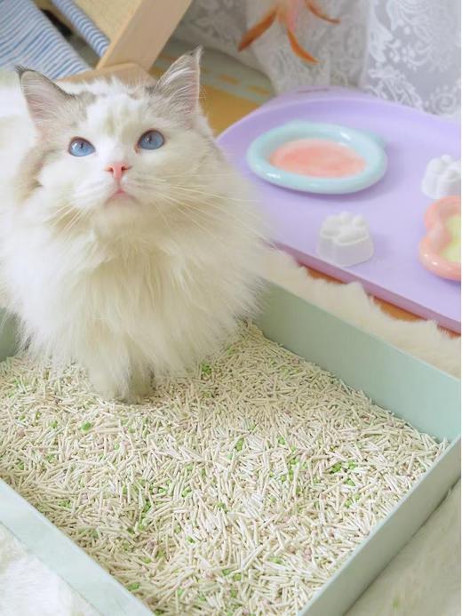 【新品体验】慕喜豌豆木薯猫砂 2.4kg/袋  高抑菌 清爽不粘底  线上无同款 偏远地区补邮费 商品图6
