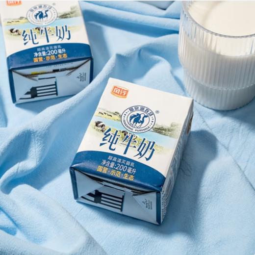 风行仙泉湖牧场纯牛奶200ml/盒 商品图5