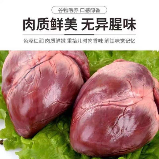 新鲜猪心13.5元/份约400~450g   次日到 商品图1