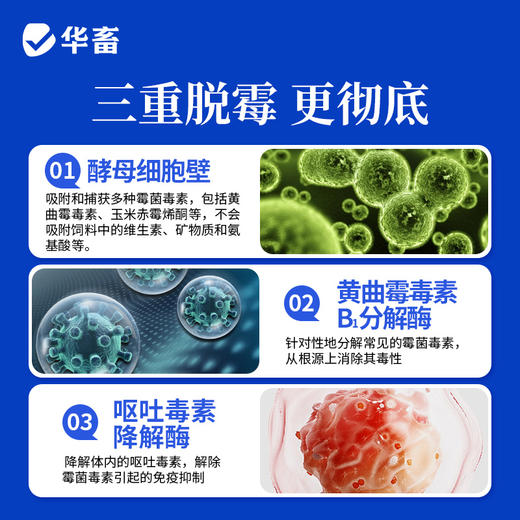 华畜 酵母免疫脱2斤 拒绝吸附三重脱霉更彻底 商品图3
