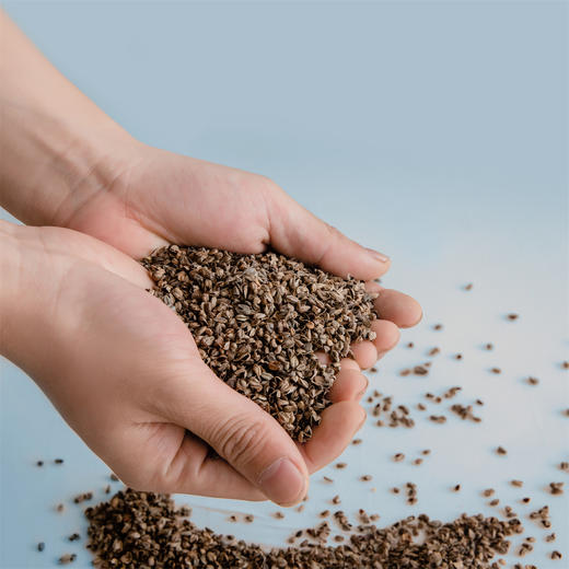 【79元2个】清凉冰豆豆纯荞麦枕 贴合颈椎舒缓解压草本助眠护颈枕 商品图4