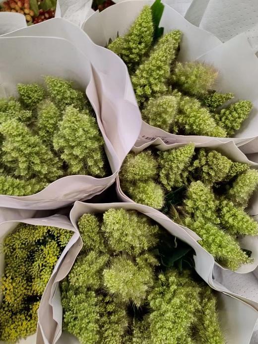 配花配草熊尾草一扎 商品图3